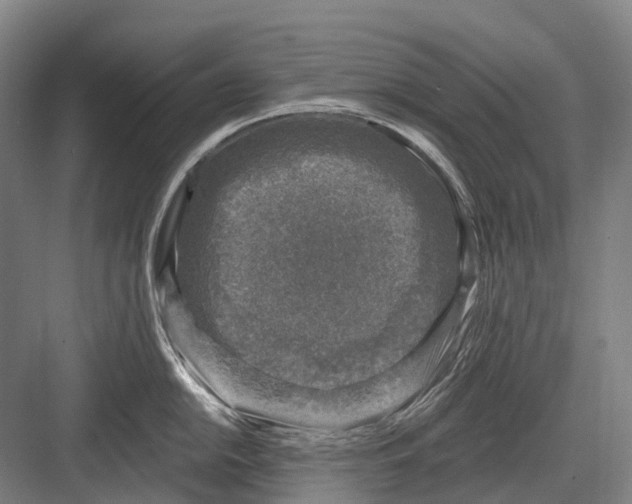 X0000082731054200702161902