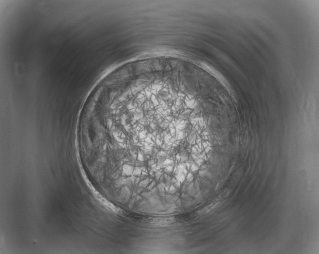 X0000082731055200702161902