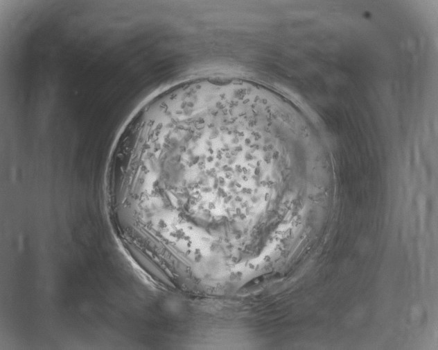 X0000082731056200702161902