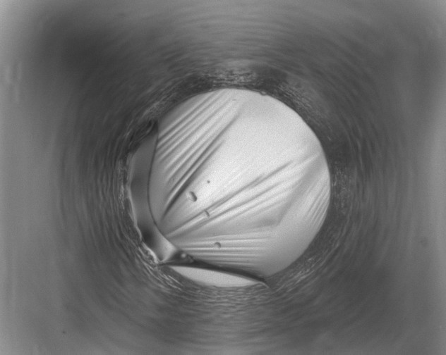 X0000082731058200702161901