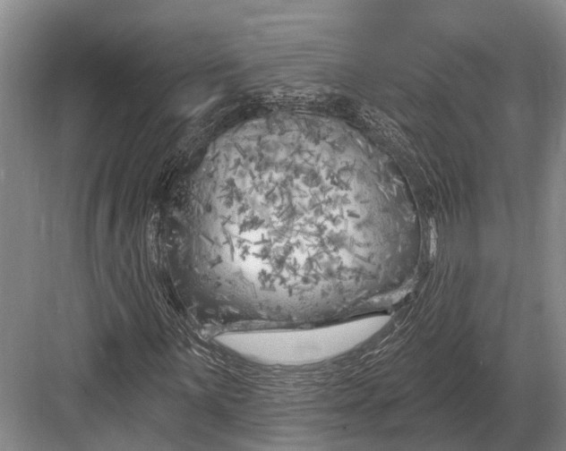 X0000082731059200702161901