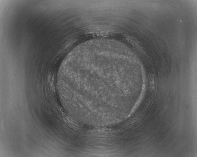 X0000082731060200702161901