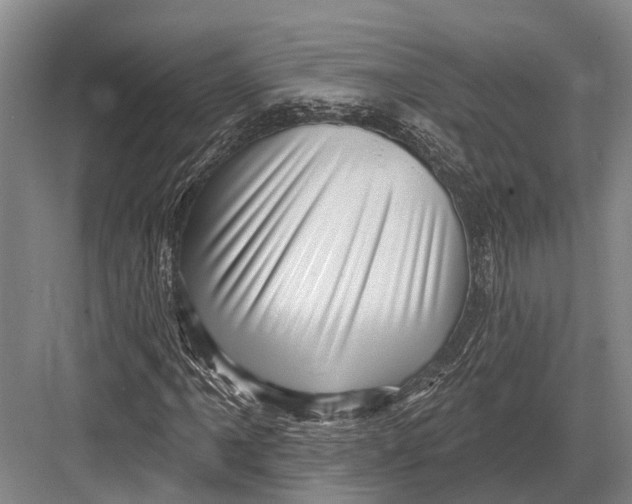 X0000082731061200702161901