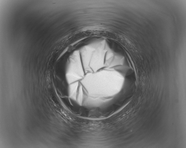 X0000082731062200702161901