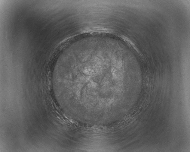 X0000082731063200702161901