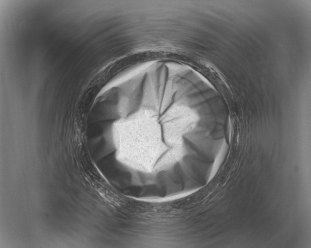 X0000082731064200702161901