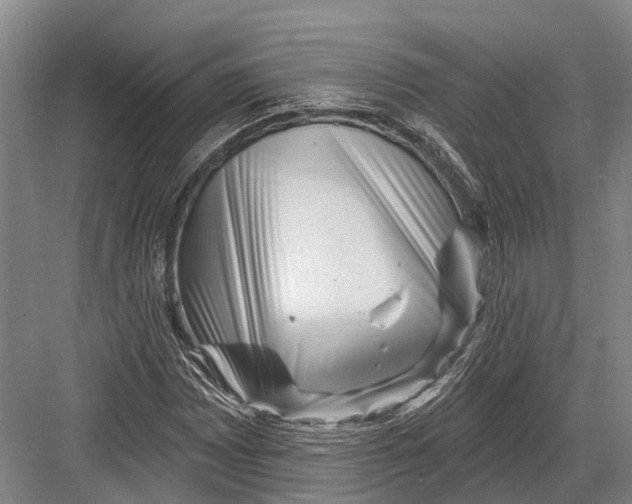 X0000082731065200702161901