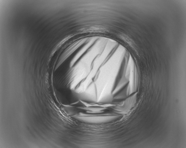 X0000082731066200702161901