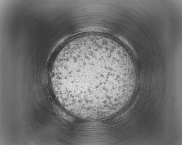 X0000082731067200702161901