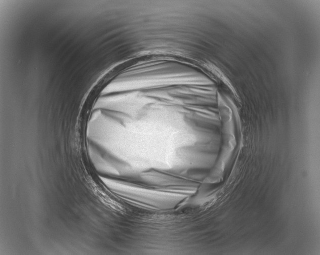 X0000082731068200702161901