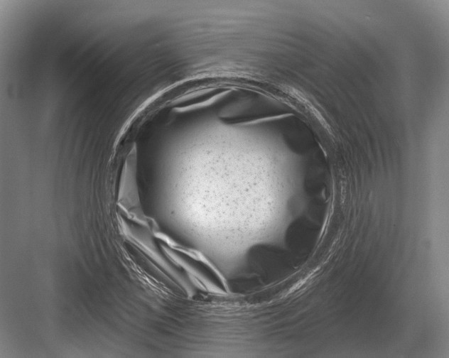 X0000082731069200702161901