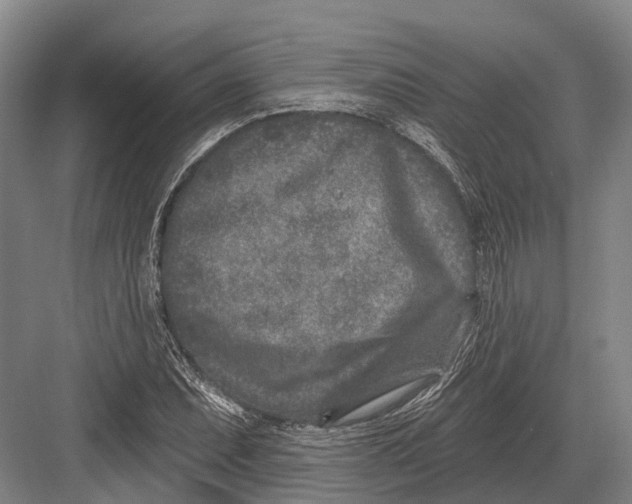 X0000082731071200702161901