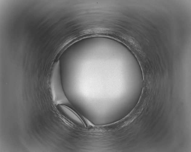 X0000082731073200702161901