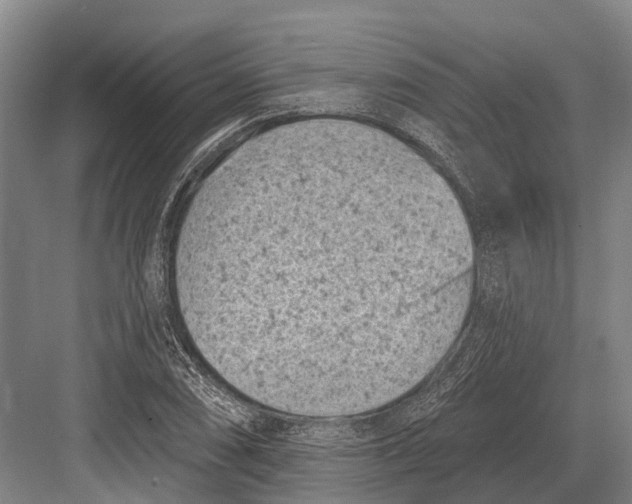 X0000082731074200702161901