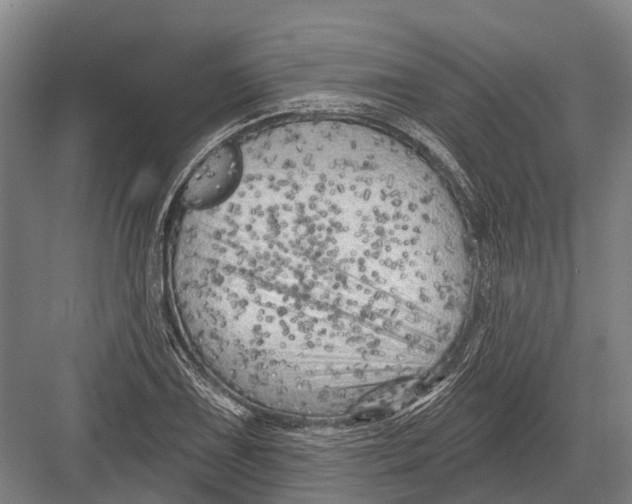 X0000082731075200702161901