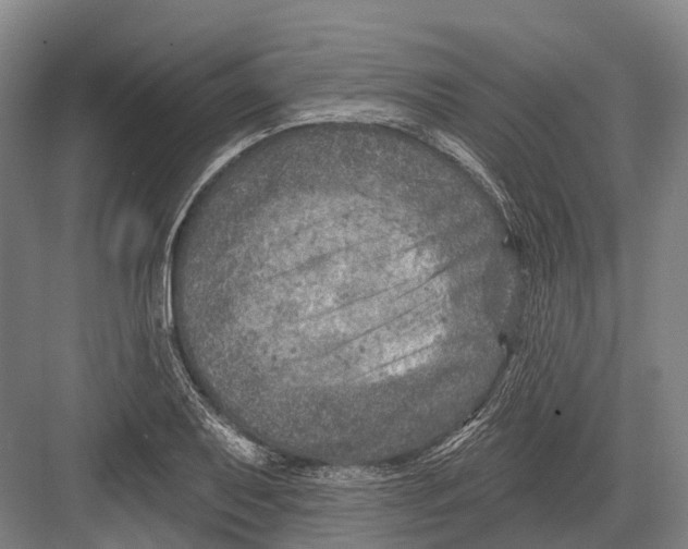 X0000082731079200702161901