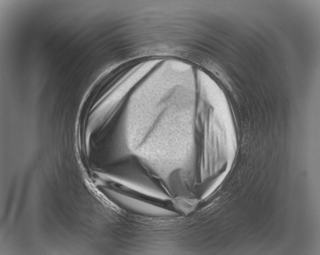 X0000082731080200702161901