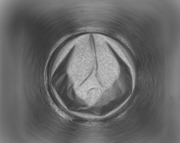 X0000082731082200702161901