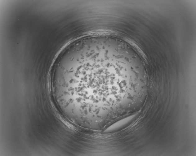 X0000082731083200702161901