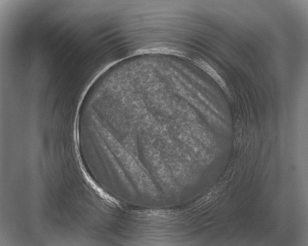 X0000082731084200702161901