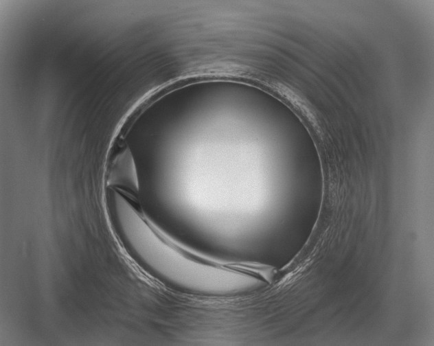 X0000082731085200702161901