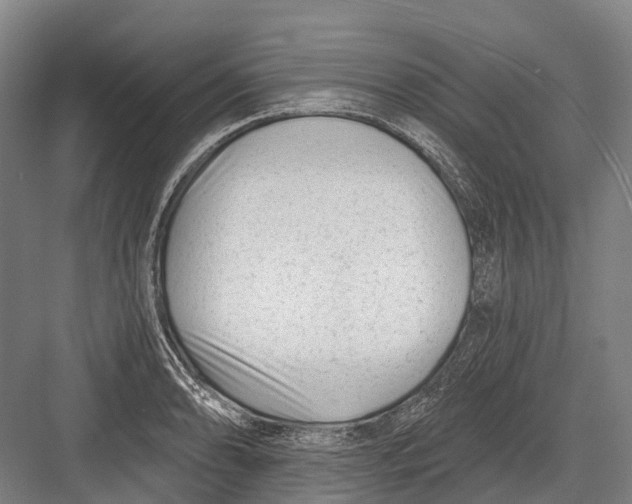 X0000082731086200702161901