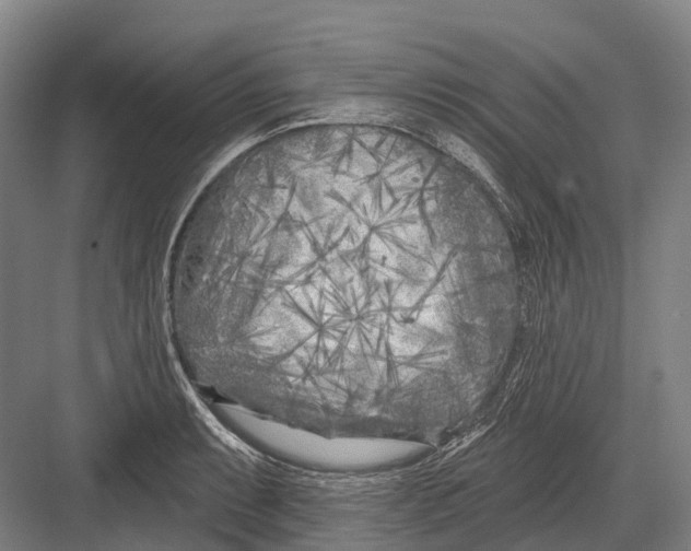 X0000082731087200702161901