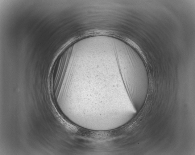 X0000082731090200702161901