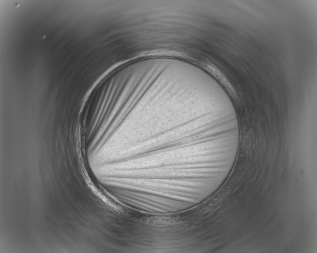 X0000082731092200702161901