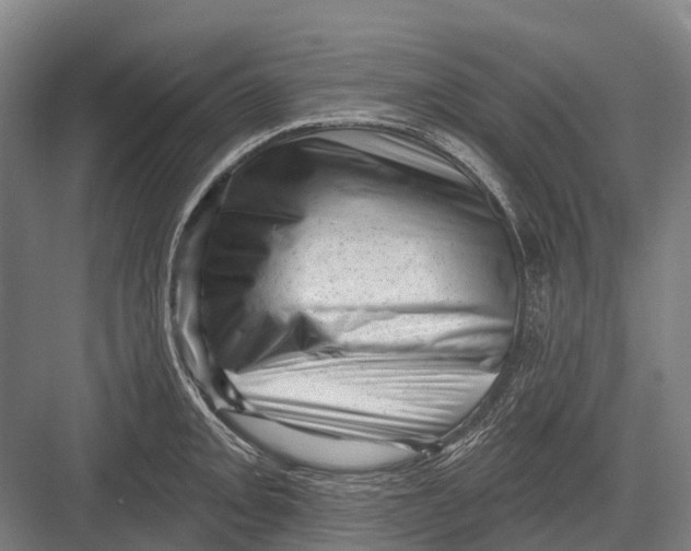 X0000082731093200702161901