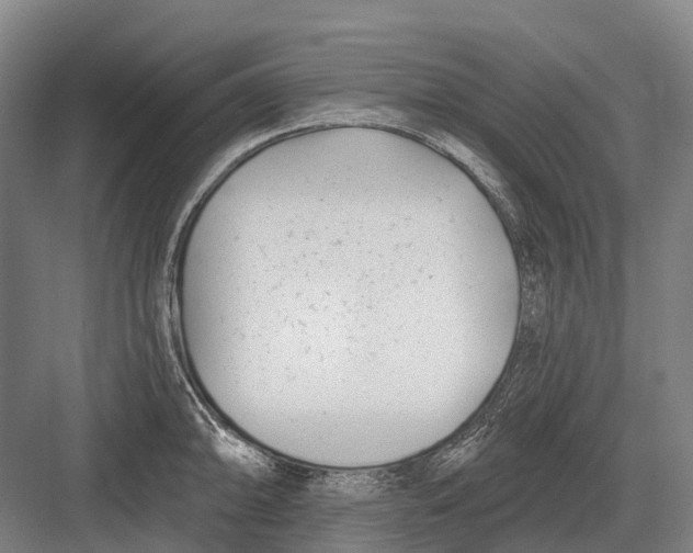 X0000082731094200702161901