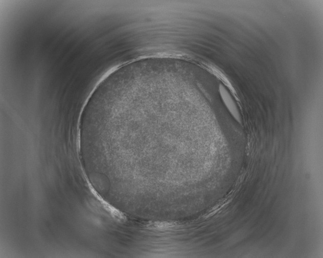 X0000082731095200702161901