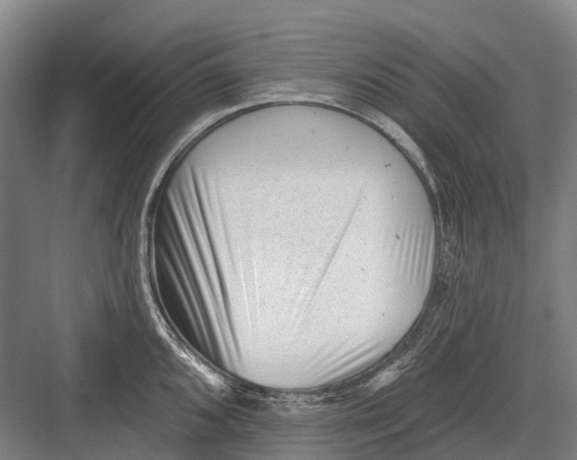 X0000082731096200702161901