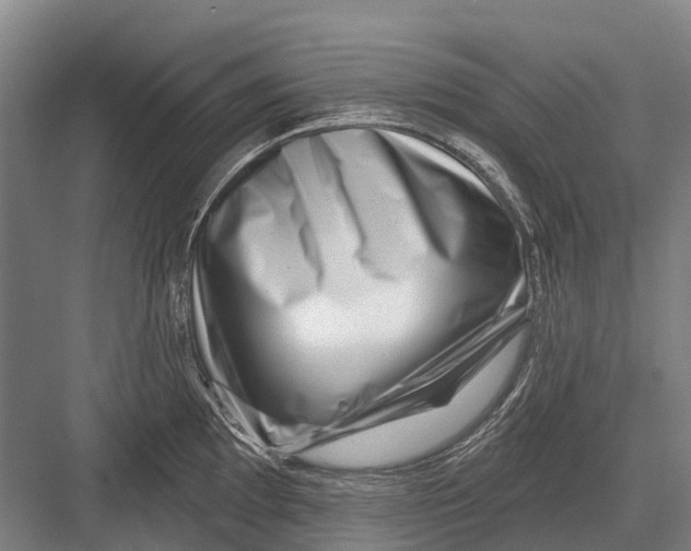 X0000082731097200702161901