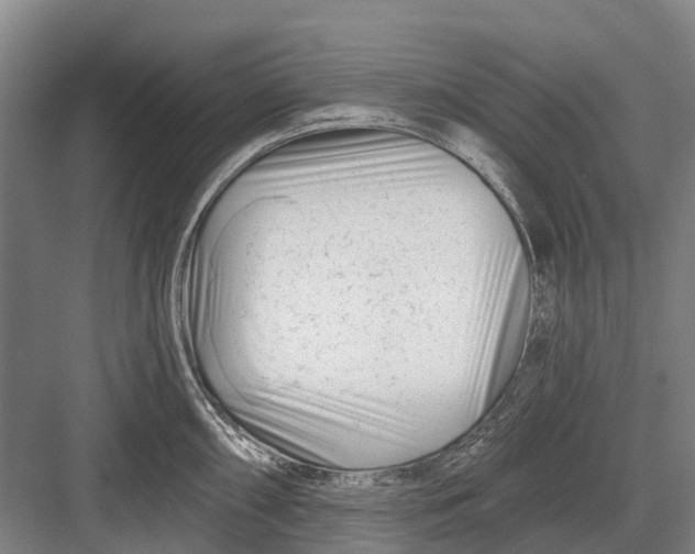 X0000082731098200702161901