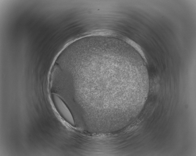 X0000082731099200702161901