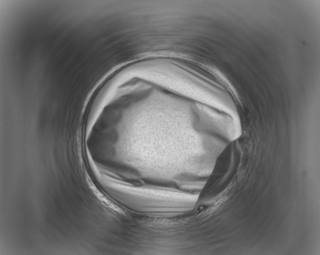 X0000082731100200702161901