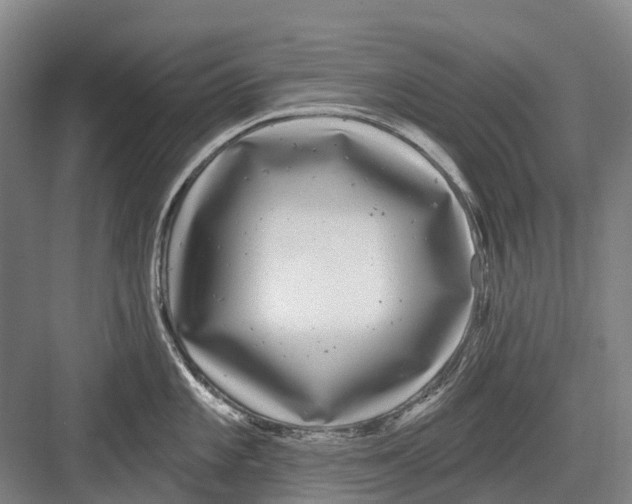 X0000082731101200702161901