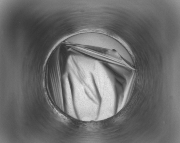 X0000082731102200702161901