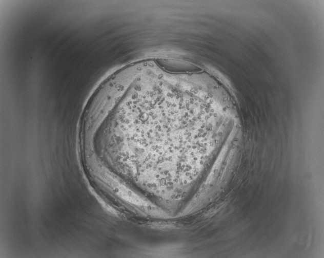 X0000082731103200702161901