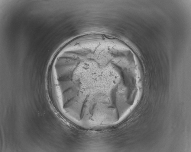 X0000082731104200702161900