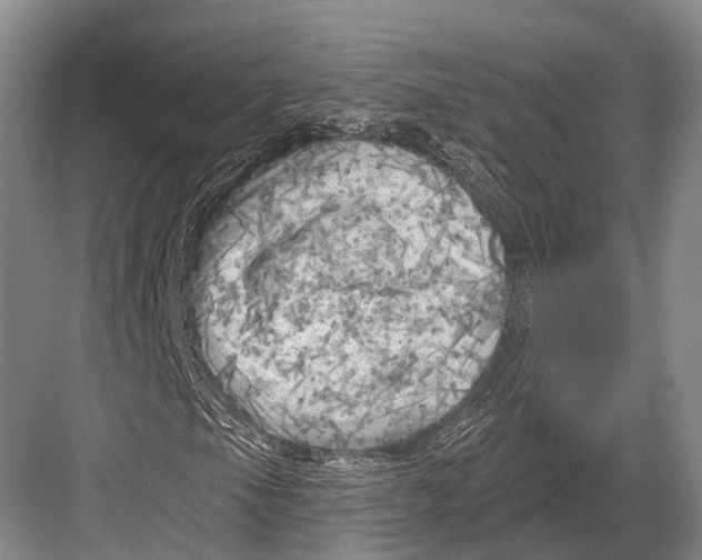 X0000082731105200702161900