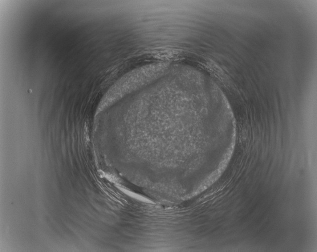 X0000082731106200702161900