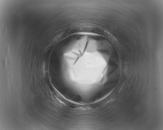 X0000082731108200702161900