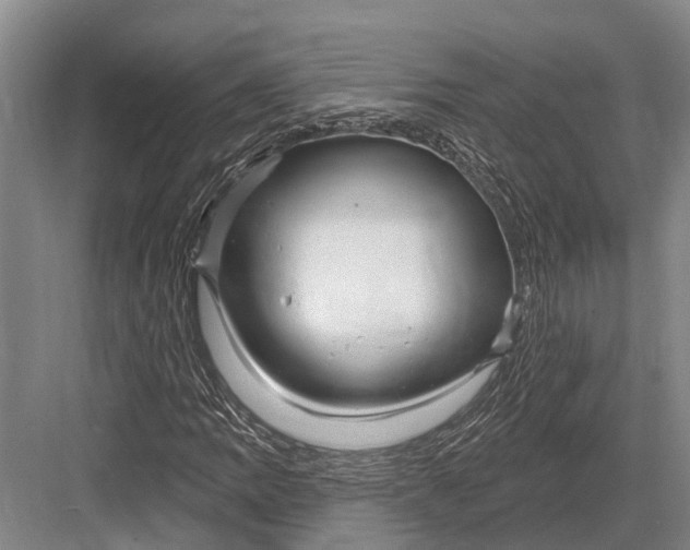 X0000082731109200702161900