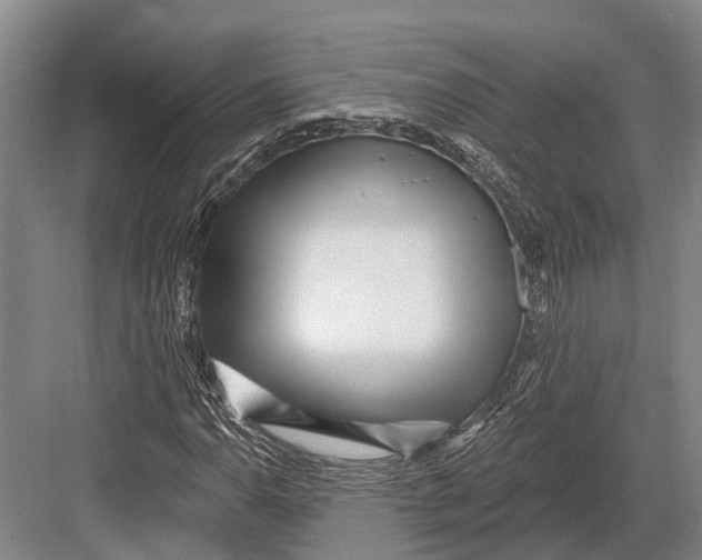 X0000082731110200702161900