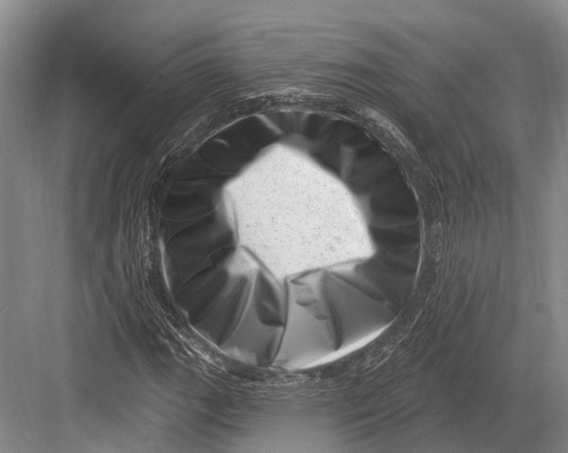 X0000082731111200702161900