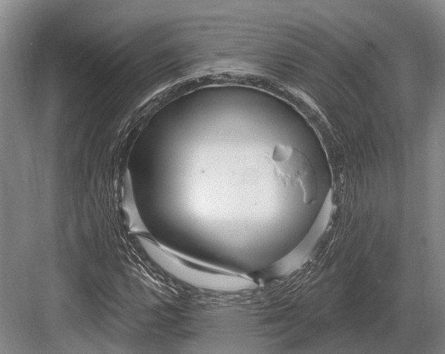 X0000082731112200702161900