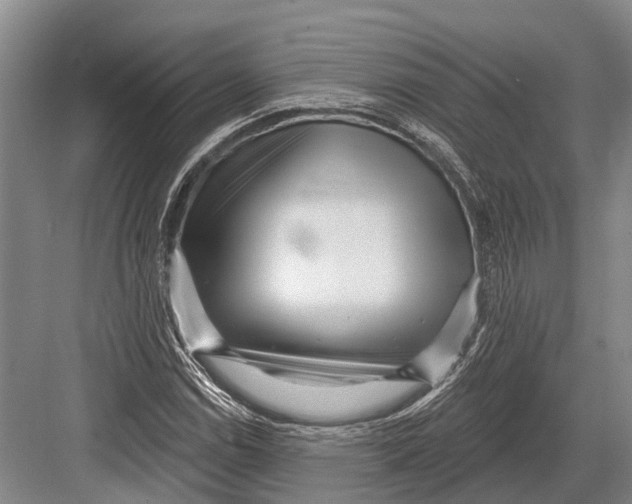 X0000082731114200702161900