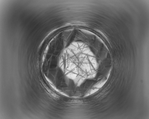 X0000082731115200702161900